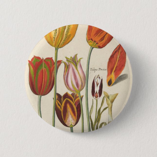 Tulips 2 Inch Round Button (Front)