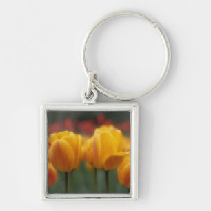 Tulips 2 keychain