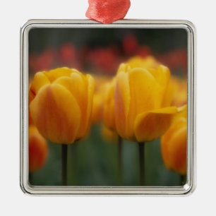 Tulips 2 metal ornament