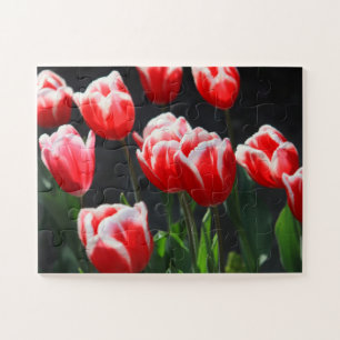 Tulips 30-pc jigsaw puzzle