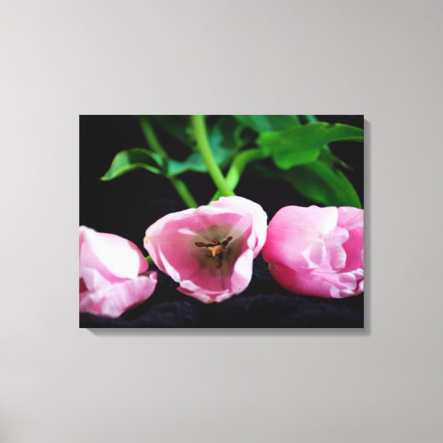 Tulips 3273 canvas print (Front)