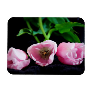 Tulips 3273 magnet