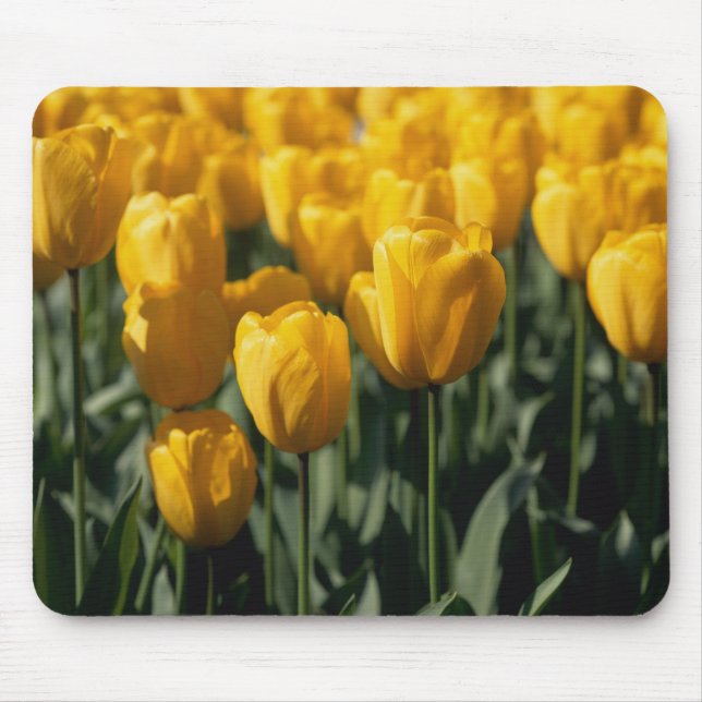 Tulips 3 mouse pad (Front)