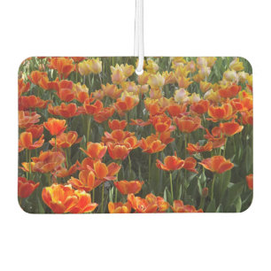 Tulips Air Freshener