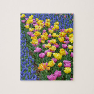 Tulips and bluebells flower garden jigsaw puzzle