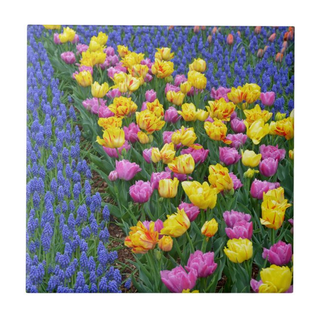 Tulips and bluebells flower garden tile (Front)