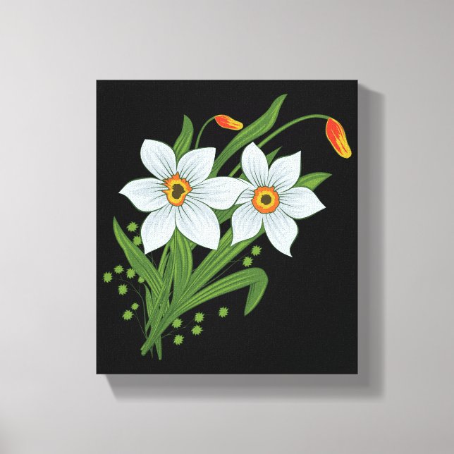 Tulips and Daffodils Flowers Black Background Canvas Print (Front)