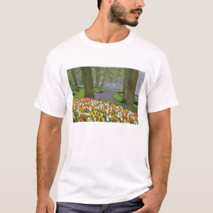 Tulips and roadway, Keukenhof Gardens, Lisse, T-Shirt