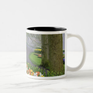 Tulips and roadway, Keukenhof Gardens, Lisse, Two-Tone Coffee Mug