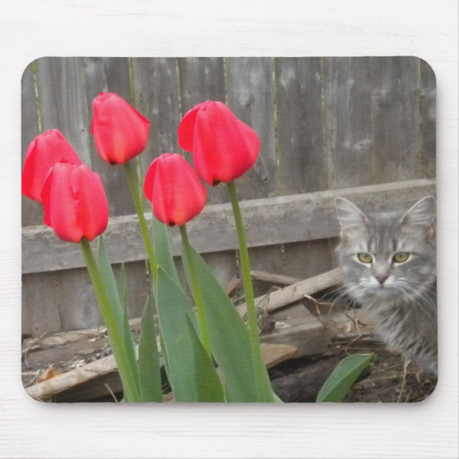 Tulips and the Kitten Mouse Pad (Front)