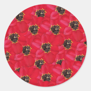 Tulips background classic round sticker