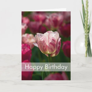 Tulips Birthday Card   Geburtstagskarte Tulpen