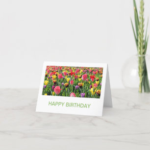 Tulips Birthday Cards