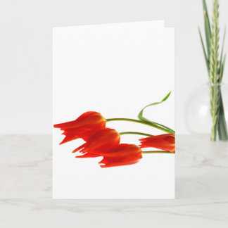 Tulips blank greetings card