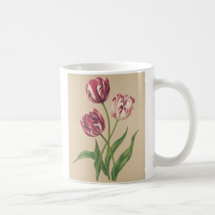 Tulips botanical art coffee mug