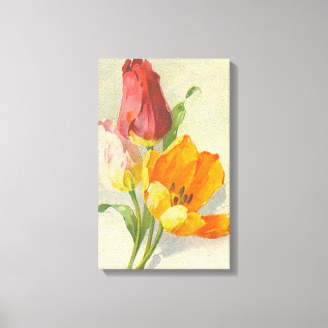 Tulips by Catherine Klein Canvas Print (Front)