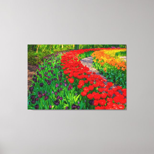 Tulips Canvas Art (Front)