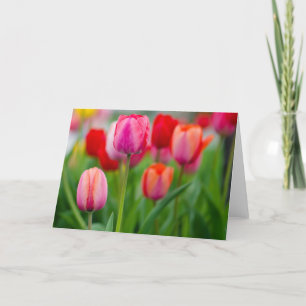 Tulips Card