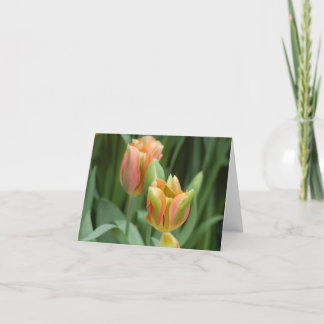 Tulips Card