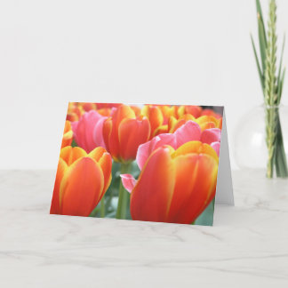 Tulips Card