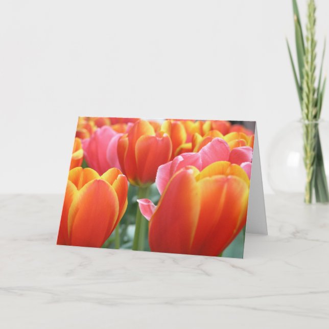 Tulips Card (Front)