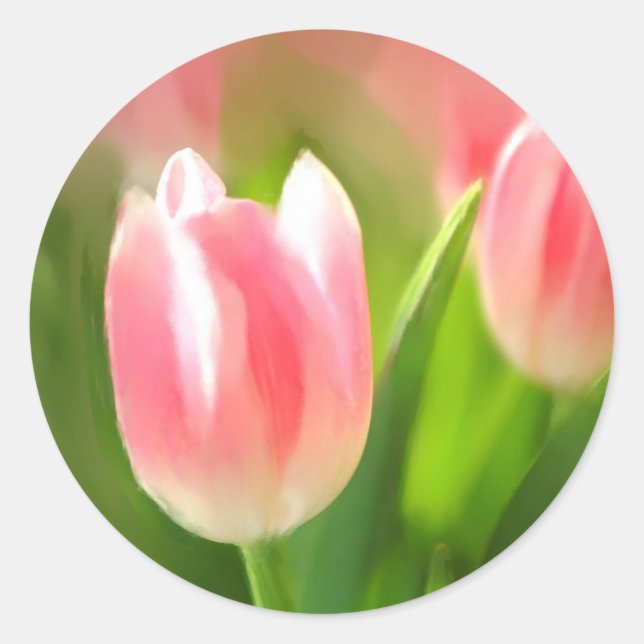 Tulips Classic Round Sticker (Front)