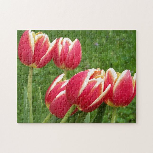 Tulips Closeup Jigsaw Puzzle (Horizontal)