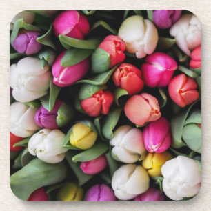 Tulips Colourful Flowers Easter Spring Coaster