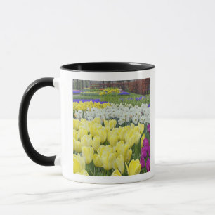 Tulips, daffodils, and Grape Hyacinth flowers, Mug