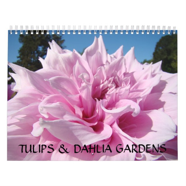 TULIPS & DAHLIA GARDENS Calendrier Cadeaux Bureau  (Protection)