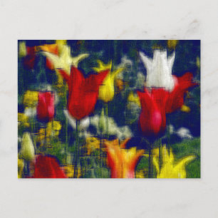 Tulips digital effect of style "impression" holiday postcard