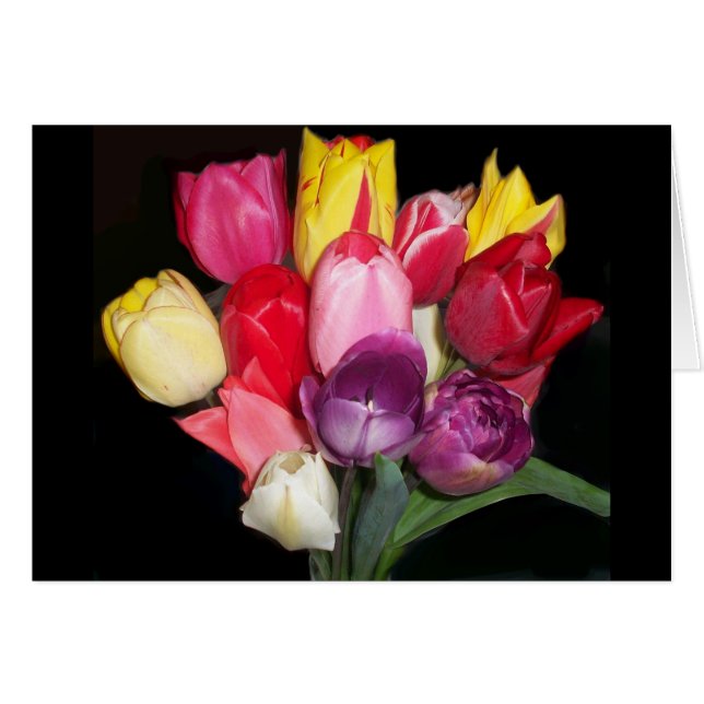 Tulips dit tout (Devant horizontal)