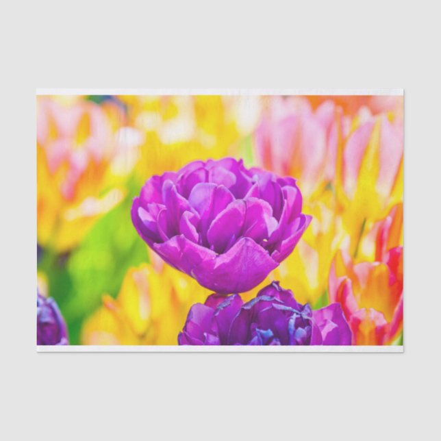 Tulips Enchanting 15 Tissue Paper (Front)