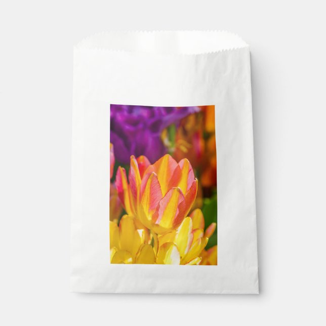 Tulips Enchanting 16 Favour Bag (Front)
