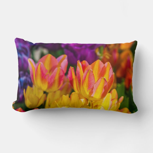Tulips Enchanting 16 Lumbar Pillow (Front)