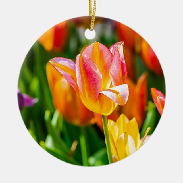 Tulips Enchanting 17 Ceramic Ornament (Front)