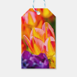 Tulips Enchanting Gift Tags