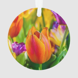 Tulips Enchanting Ornament