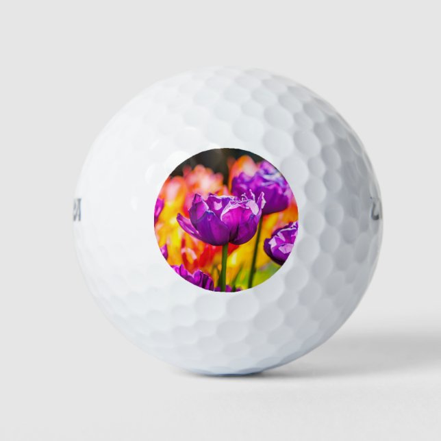 Tulips Enchanting Purple Golf Balls (Front)