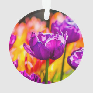 Tulips Enchanting Purple Ornament