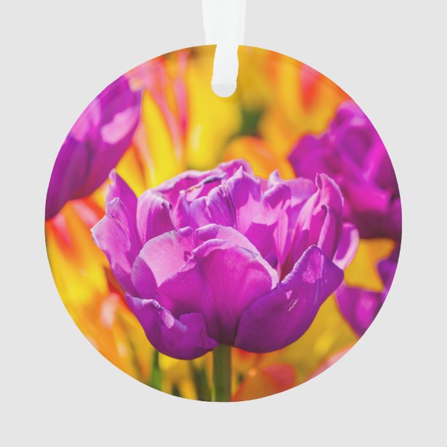 Tulips Enchanting Violet Ornament (Back)