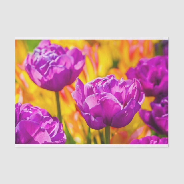 Tulips Enchanting Violet Tissue Paper (Front)