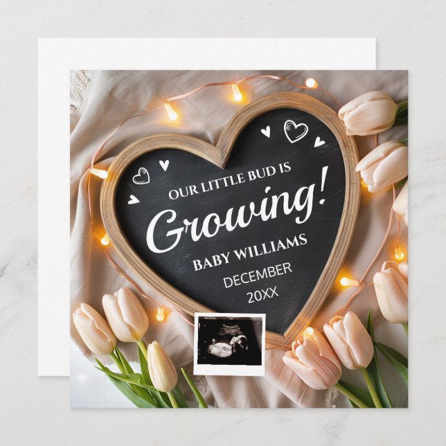 Tulips Flower Baby Announcement for Social Media (Front/Back)