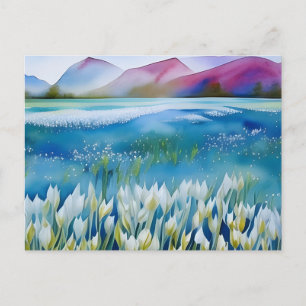 Tulips, flowers, postcard for postcrossing