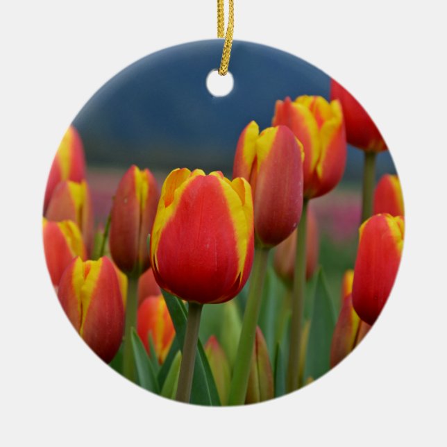 Tulips for Mom Ceramic Ornament (Front)
