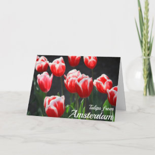 Tulips from Amsterdam Card