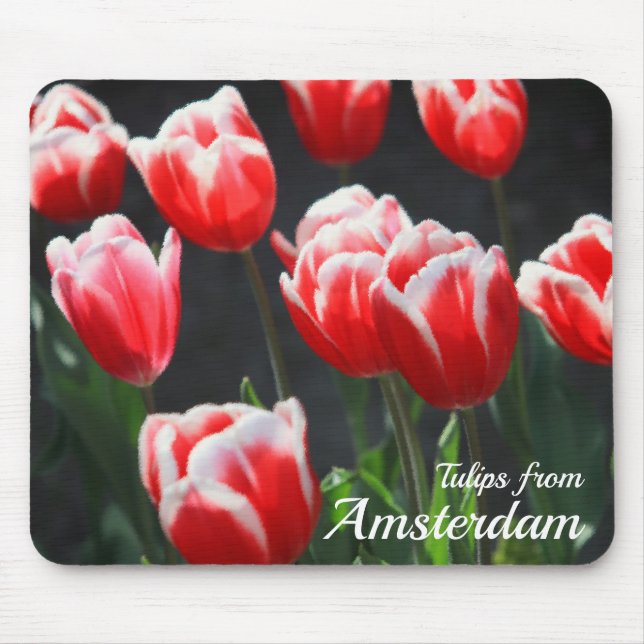 Tulips from Amsterdam Mouse Pad (Front)