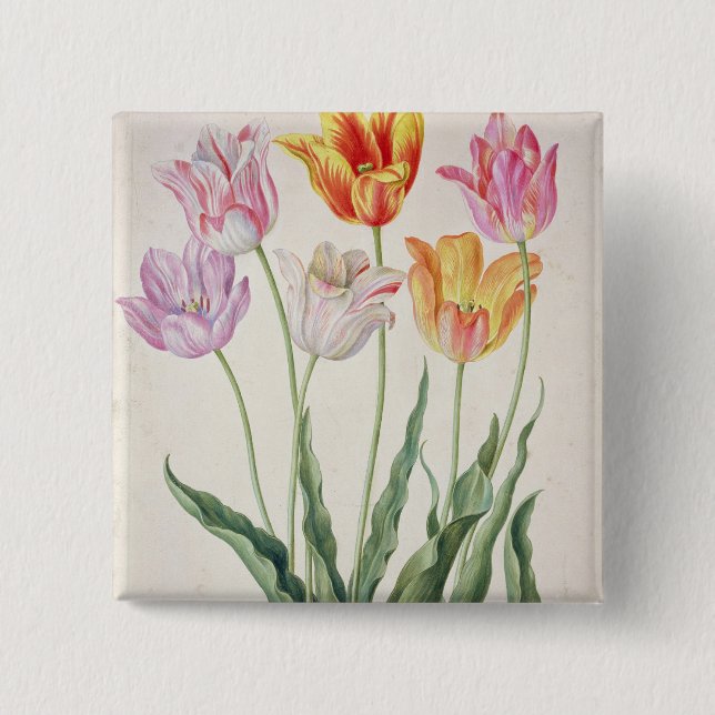 Tulips, from the 'Nassau Florilegium' (w/c on pape 2 Inch Square Button (Front)