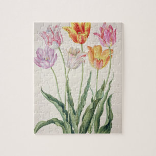 Tulips, from the 'Nassau Florilegium' (w/c on pape Jigsaw Puzzle