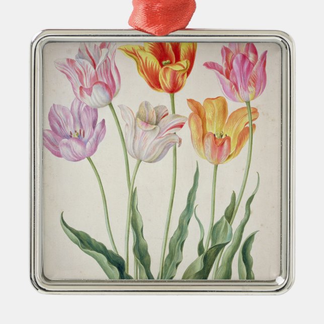 Tulips, from the 'Nassau Florilegium' (w/c on pape Metal Ornament (Front)